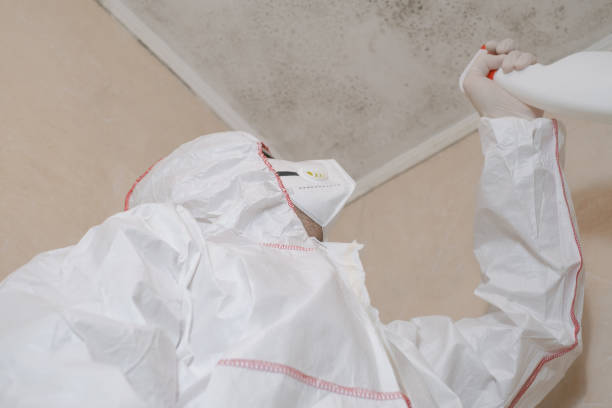 Best Crawl Space Mold Removal  in Park City, TN